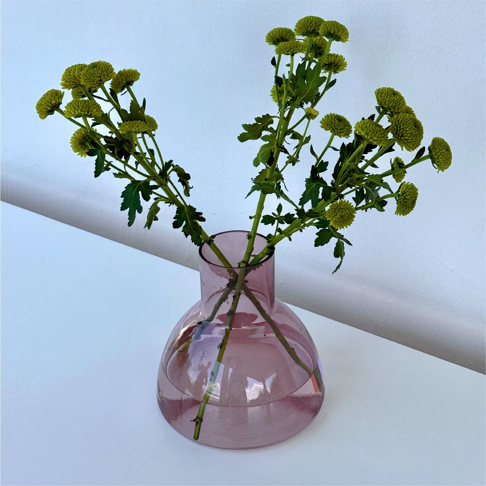PLASH Carafe - Aubergine