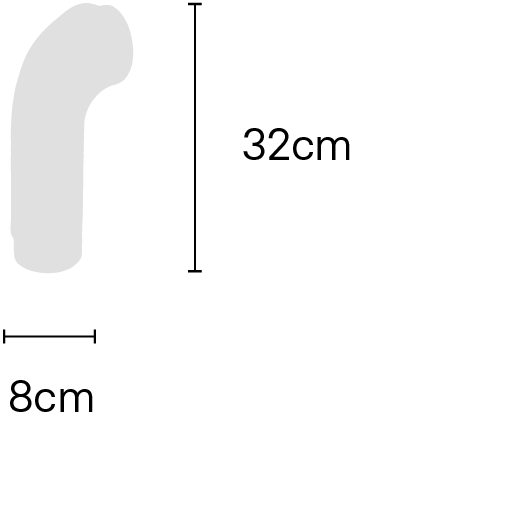 NESSIE