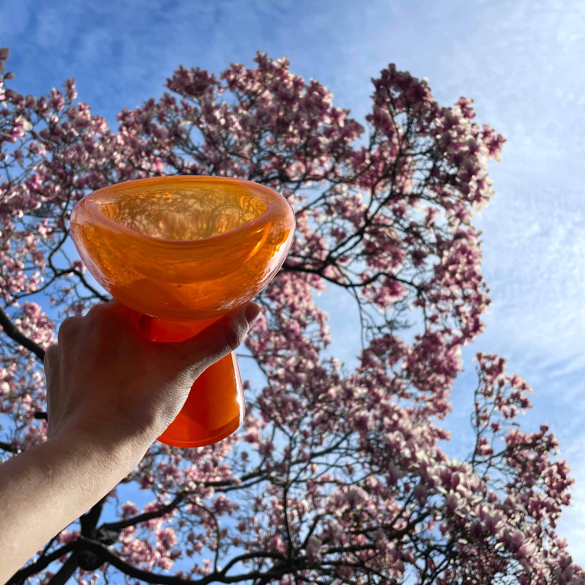 PHANTOM Dish - Orange